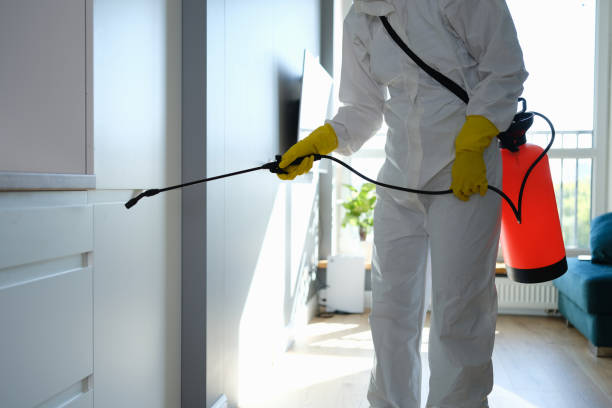 Best Office Mold Removal Services  in Olmsted Falls, OH