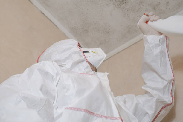 Best Crawl Space Mold Removal  in Olmsted Falls, OH